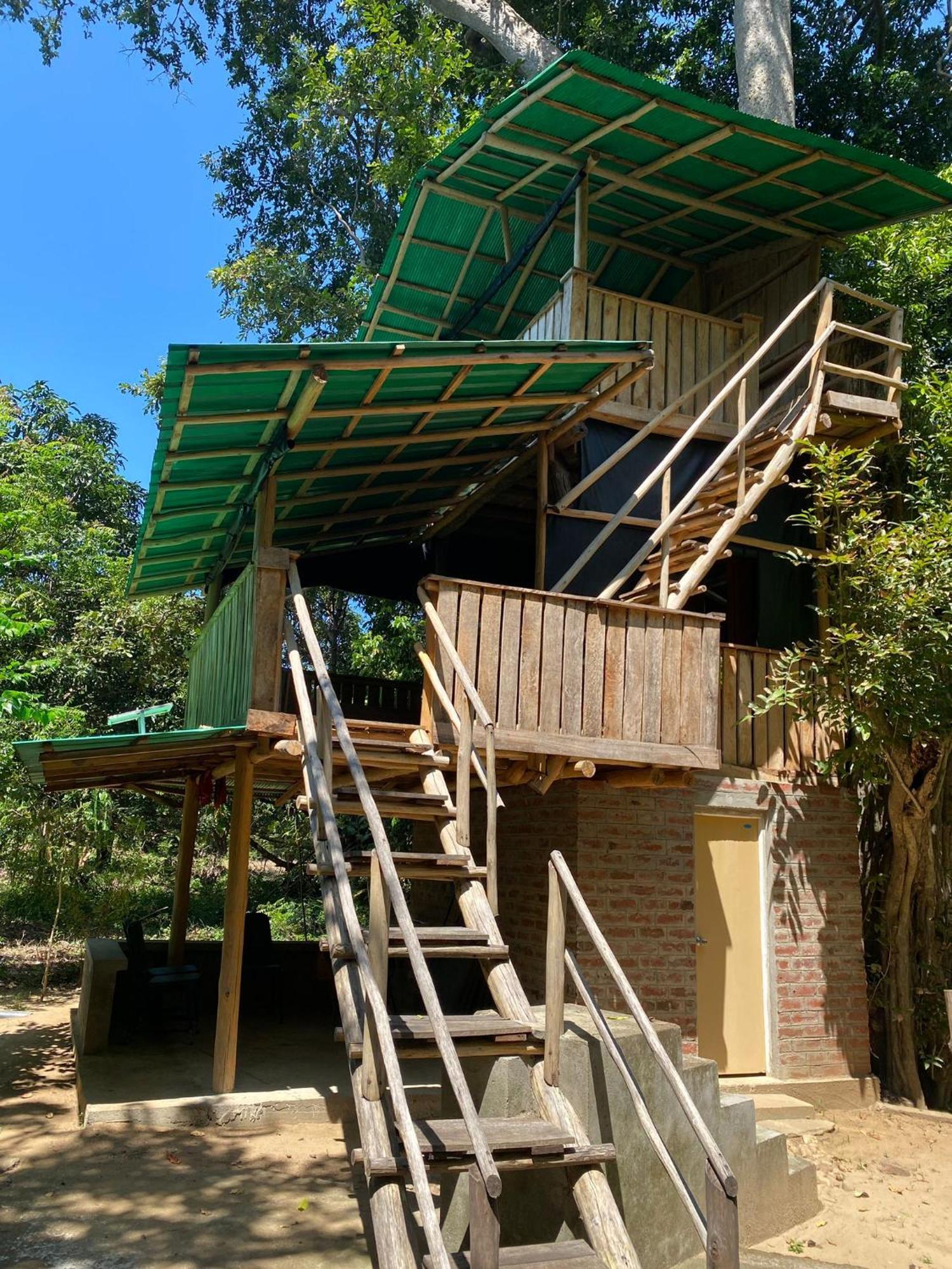 Forest Tree Top Holiday Resort Buttala Exteriér fotografie